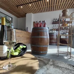 Local Vineyards and Wine Tasting - Velky Meder