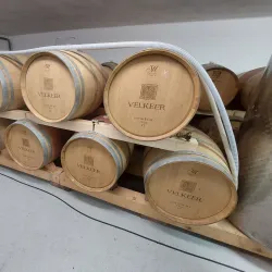 Local Vineyards and Wine Tasting - Velky Meder