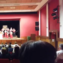 Velky Meder Cultural House - Velky Meder