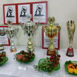 Velky Meder Cultural House - Velky Meder