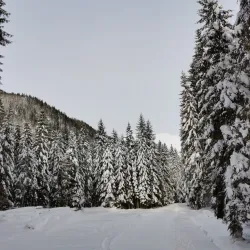 Hiking Trails in the Surrounding Hills - Ziar Nad Hronom
