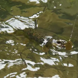 Hron River Walk - Ziar Nad Hronom