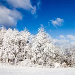 Jahodná Ski and Recreation Area - Zvolen