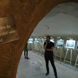 Slovak Technical Museum - Forestry Museum - Zvolen