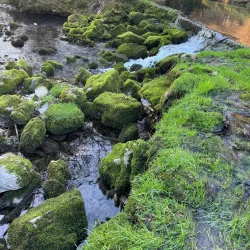 Kostanjevica Cave - Ajdovscina