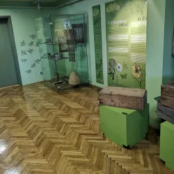 Žalec Museum - Žalec