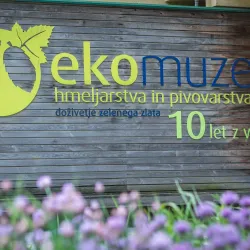 Žalec Museum - Žalec