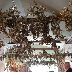 Žalec Museum - Žalec