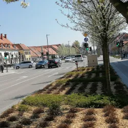 Žalec Town Square - Žalec