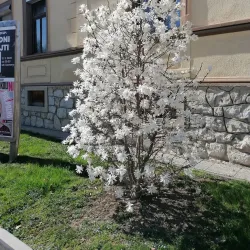 Žalec Town Square - Žalec