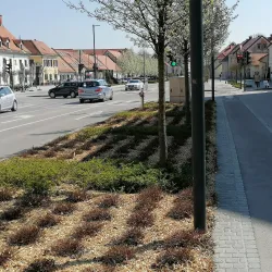 Žalec Town Square - Žalec