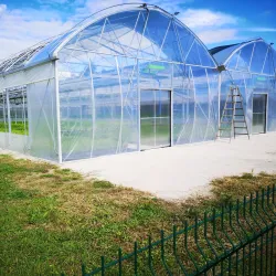 Hop Growing Fields - Žalec