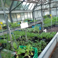 Hop Growing Fields - Žalec