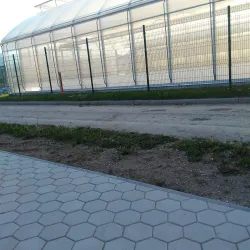 Hop Growing Fields - Žalec