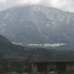 Hop Growing Fields - Žalec