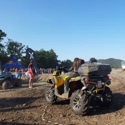 Local Breweries - Žalec