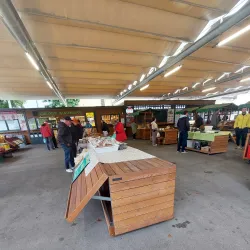 Local Markets - Žalec