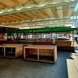 Local Markets - Žalec