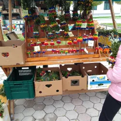 Local Markets - Žalec