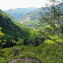 Savinja River Walk - Žalec