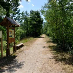 Savinja River Walk - Žalec