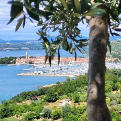 Izola Marina - Ankaran