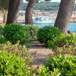 Izola Marina - Ankaran