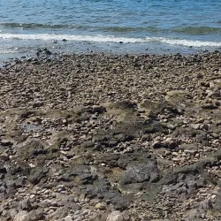 Izola Marina - Ankaran