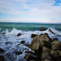 Natural Park Strunjan - Ankaran