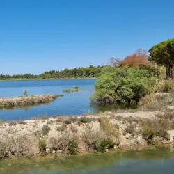 Natural Park Strunjan - Ankaran