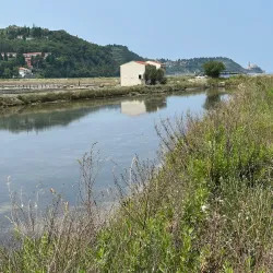 Natural Park Strunjan - Ankaran