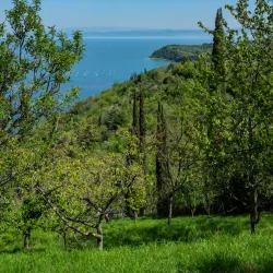 Natural Park Strunjan - Ankaran