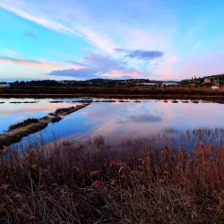 Natural Park Strunjan - Ankaran