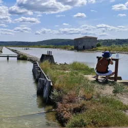 Sečovlje Salina Nature Park - Ankaran