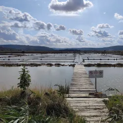 Sečovlje Salina Nature Park - Ankaran