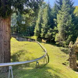 Bled Adventure Park - Bled