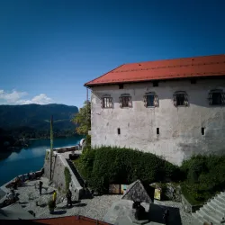 Bled Castle - Bled