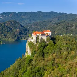 Bled Castle - Bled