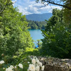 Bled Island and Church of the Assumption - Bled