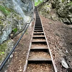 Mala Osojnica Viewpoint - Bled