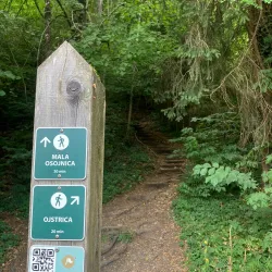 Mala Osojnica Viewpoint - Bled