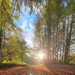 Mala Osojnica Viewpoint - Bled