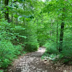 Ojstrica Viewpoint - Bled
