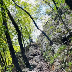 Ojstrica Viewpoint - Bled