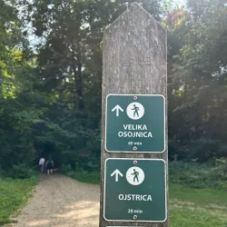 Ojstrica Viewpoint - Bled