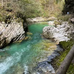 Vintgar Gorge - Bled