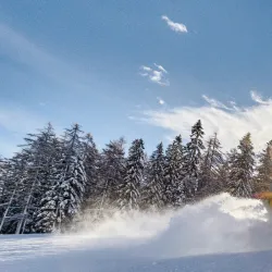 Ski School Cerkno - Cerkno
