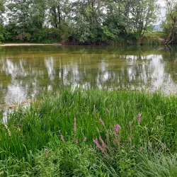 Kolpa River Trail - Crnomelj