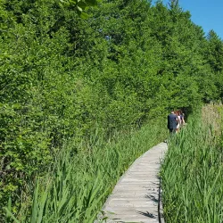 Krajinski Park Lahinja - Crnomelj