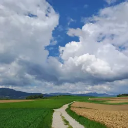 Krajinski Park Lahinja - Crnomelj